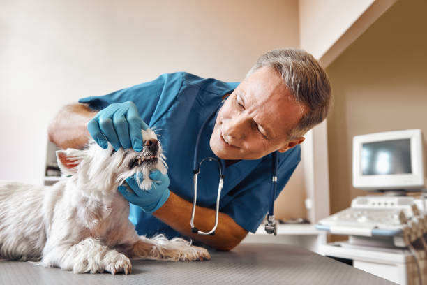 Best Emergency Treatment for Toothache in Port St John, FL